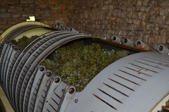 Wine press of Domaine Chante L'Oiseau